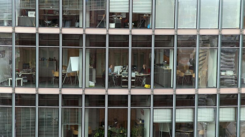 Проведение патентного поиска с юридическим сопровождением официально в Москве: пошаговый план