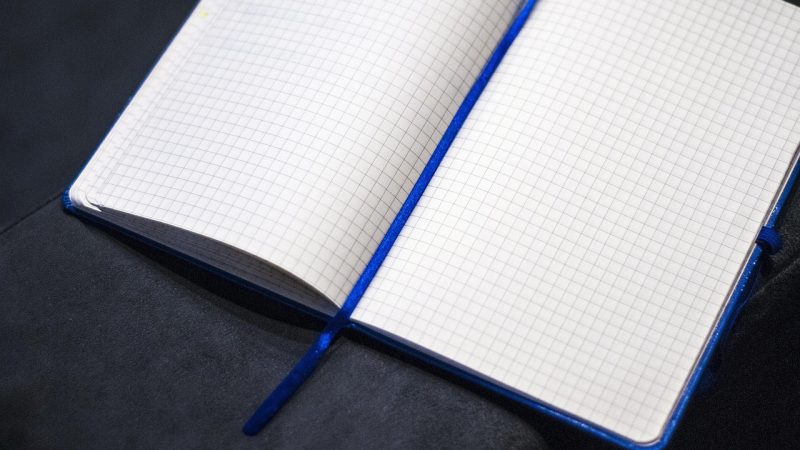 Федеральный институт промышленной собственности и его роль в регистрации интеллектуальной собственности